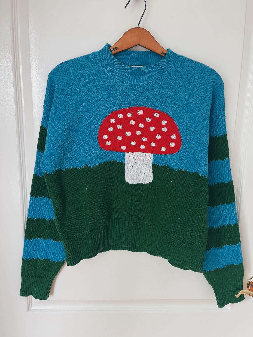 Zara Teal & Forest Green Mushroom Crewneck Sweater